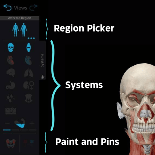 parts of the systems tray